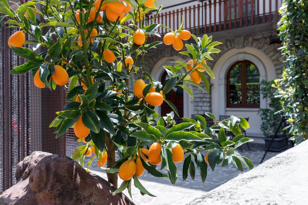 Villa Mariarosa Apartments Tignale Eksteriør bilde